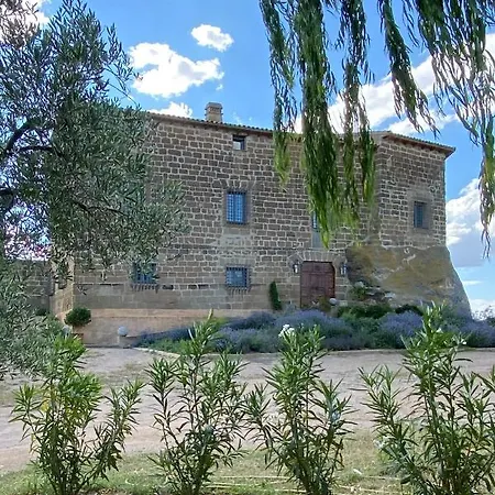 Castillo De Corvinos 住宿加早餐酒店 4*