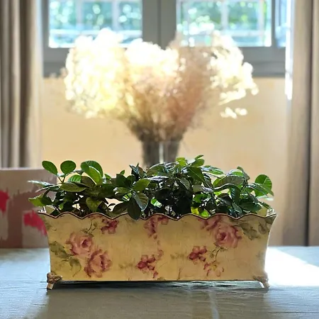 Bed and breakfast Castillo De Corvinos Huesca