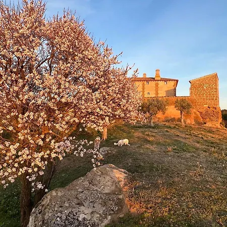 Castillo De Corvinos * Huesca