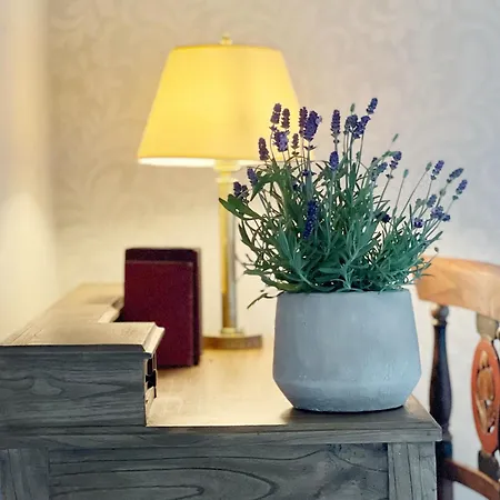 Castillo De Corvinos Bed and Breakfast