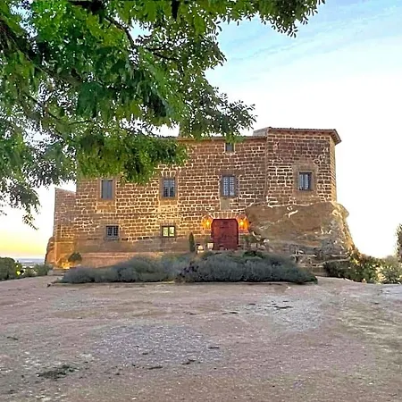 Castillo De Corvinos 住宿加早餐酒店 4*
