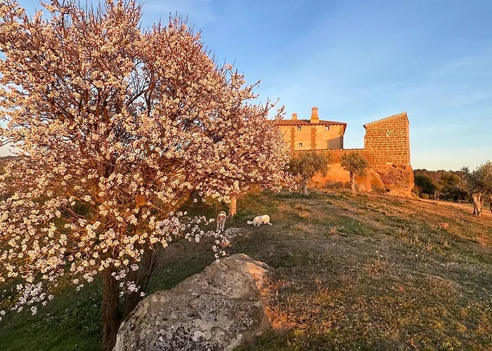 Castillo De Corvinos 4* Huesca